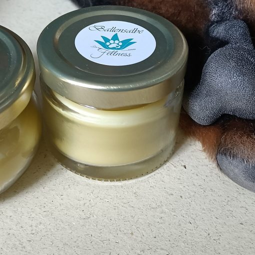 FELLNESS - Pawness Pfotensalbe – Bild 2