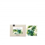 LITTLE BEE FRESH - Lingette en cire d'abeille bio "S" (15 x 15 cm) - Jungle vert