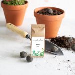 LITTLE BEE FRESH - 7 St. SEEDBALLS – wilde Kräuter