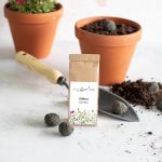 LITTLE BEE FRESH - 6 St. SEEDBALLS – Essbare Blüten